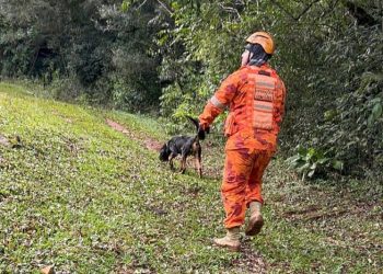 Grupo de resgate com cães conclui buscas por homem desaparecido em Jaborá, mas investigações continuam