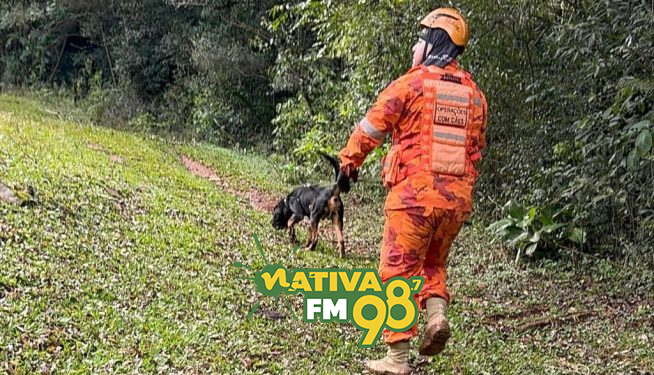 Imagens: Divulgação/Gorsc