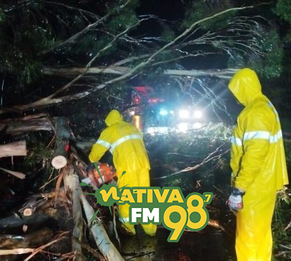 Foto: Corpo de Bombeiros