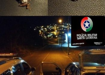 Abordagem policial resulta na apreensão de drogas em Campos Novos