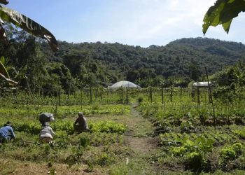 Lula autoriza uso de R$ 12 bilhões para renegociação de dívidas rurais