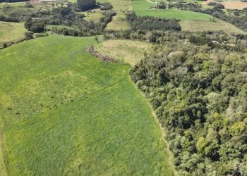 Agricultor é multado em R$ 5 mil por desmatamento de área nativa em Lacerdópolis