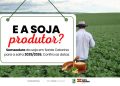Cidasc divulga calendário de semeadura da soja em Santa Catarina para a safra 2025/2026
