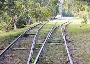 Capinzal celebra 115 anos da Ferrovia São Paulo–Rio Grande com roda de conversa sobre memórias e legado