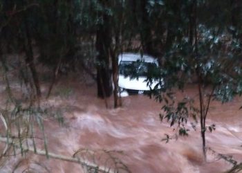 Homem é denunciado pelo Ministério Público por furto de veículo da Cidasc em Zortéa