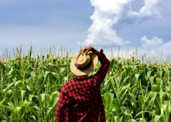 Incentivo agrícola para produtores de Zortéa já está disponível