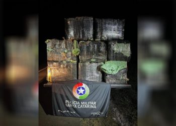 Mais de 270 quilos de maconha são apreendidos na região (vídeo)