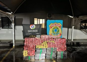 Quase meia tonelada de maconha é apreendida durante ação integrada na Serra