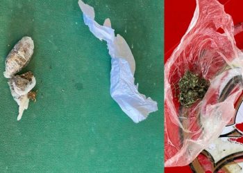 Polícia Militar apreende pequenas porções de maconha em duas ocorrências em Campos Novos