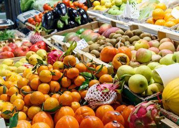 SC tem fundo exclusivo de segurança alimentar e lidera doações a serviços públicos, diz IBGE