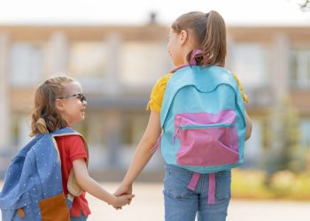 Censo Escolar 2025 aponta número de matrículas na educação básica em municípios da região