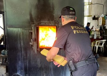 Polícia Federal incinera 6 toneladas de maconha apreendidas em caminhão de leite em SC