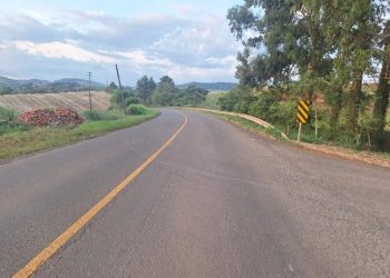 Menino de 11 anos é atropelado ao atravessar rodovia em Treze Tílias