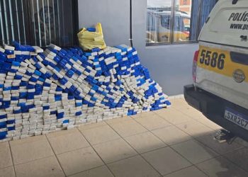 Mais de 17 toneladas de maconha são apreendidas nas rodovias estaduais em 2025