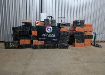 PM apreende quase 2 toneladas de maconha escondida em galpão em Pinhalzinho