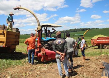 Secretaria de Agricultura inicia trabalhos de silagem e reforça apoio aos produtores rurais de Zortéa