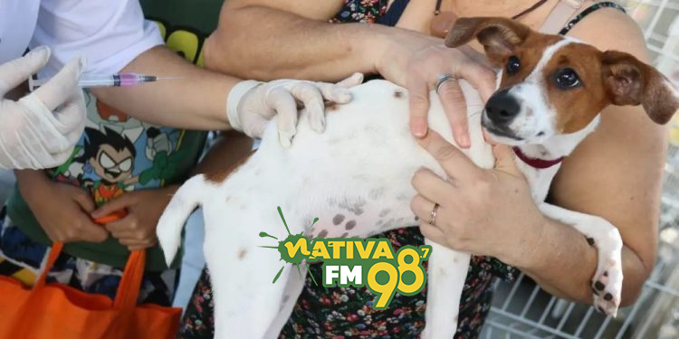 Tânia Rêgo/Agência Brasil