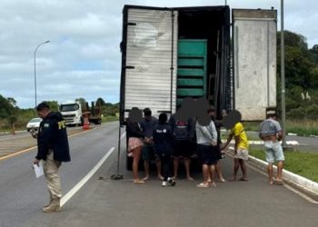 PRF flagra trabalhadores sendo transportados em baú de caminhão na BR-282