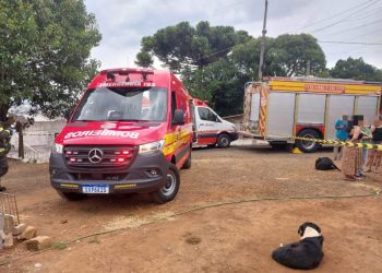 Motorista de veículo que atropelou e matou mulher estava embriagado, diz polícia