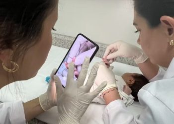 Recém-nascidos devem sair da maternidade já com Carteira de Identidade Nacional em SC