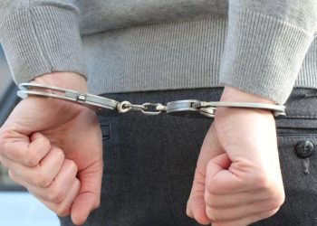 Justiça decreta prisão de suspeitos de matar cães a machadadas em SC