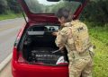 Motorista é preso em Xanxerê com mais de 100 kg de maconha
