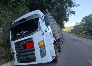 Caminhão carregado com aves sai da pista e para em valeta na SC-150 entre Ouro e Lacerdópolis