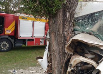 Jovem morre após caminhão sair da pista e colidir contra árvore em Nova Erechim