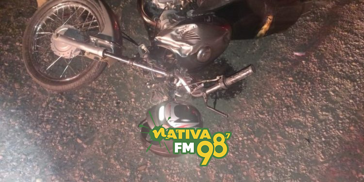 Foto: Polícia Militar Rodoviária (PMRv) / Divulgação