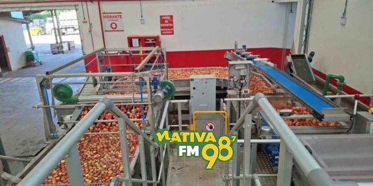 Foto: reprodução / Departamento Regional de São Joaquim/Cidasc