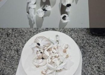 Jovem é preso por tráfico de drogas em Campos Novos